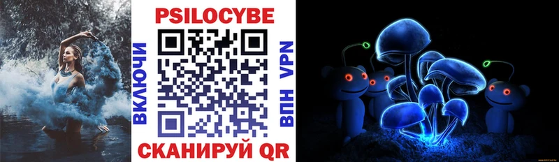 Псилоцибиновые грибы GOLDEN TEACHER  блэк спрут ТОР  Ильский 